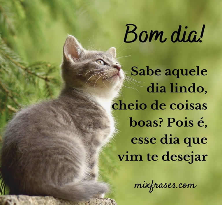 frases de bom dia com imagens para whatsapp