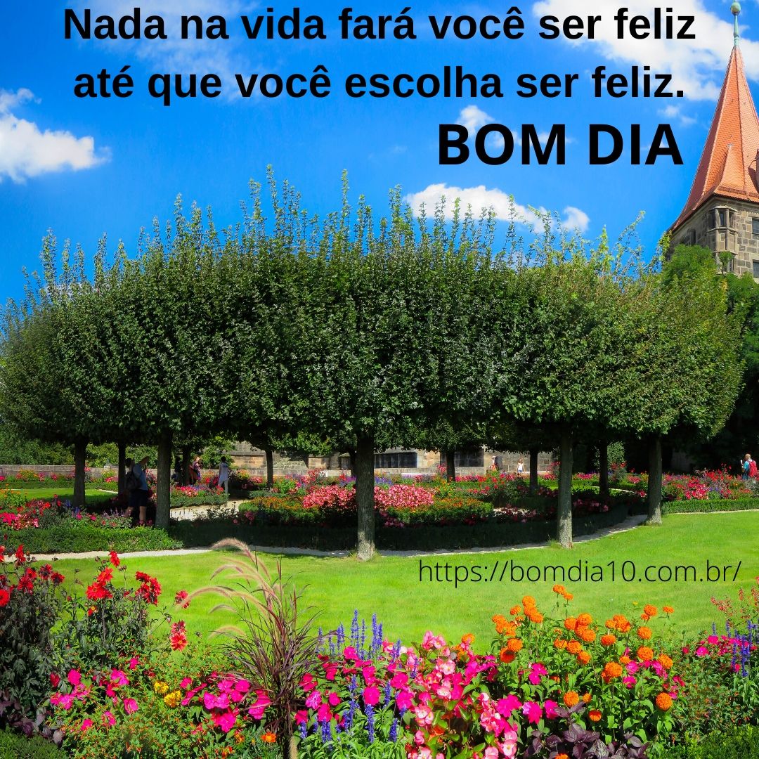 frases de bom dia com imagens para whatsapp