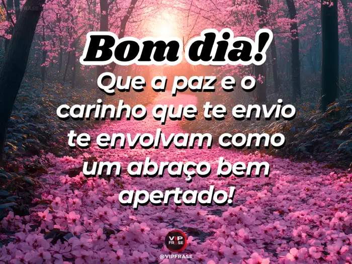 bom dia reflexivo whatsapp