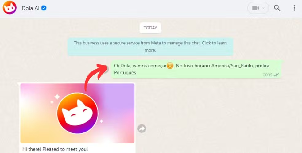 dola ai como usar para organizar agenda