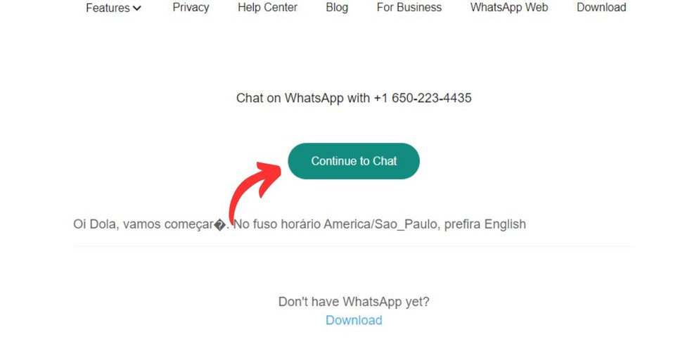erros comuns ao usar dola ai no whatsapp