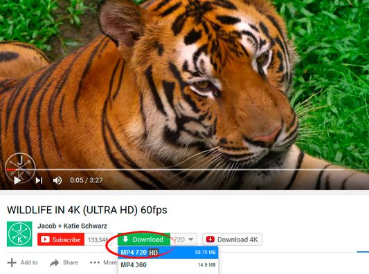 melhores sites para baixar vídeos do youtube