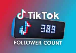 tiktok live follower counter