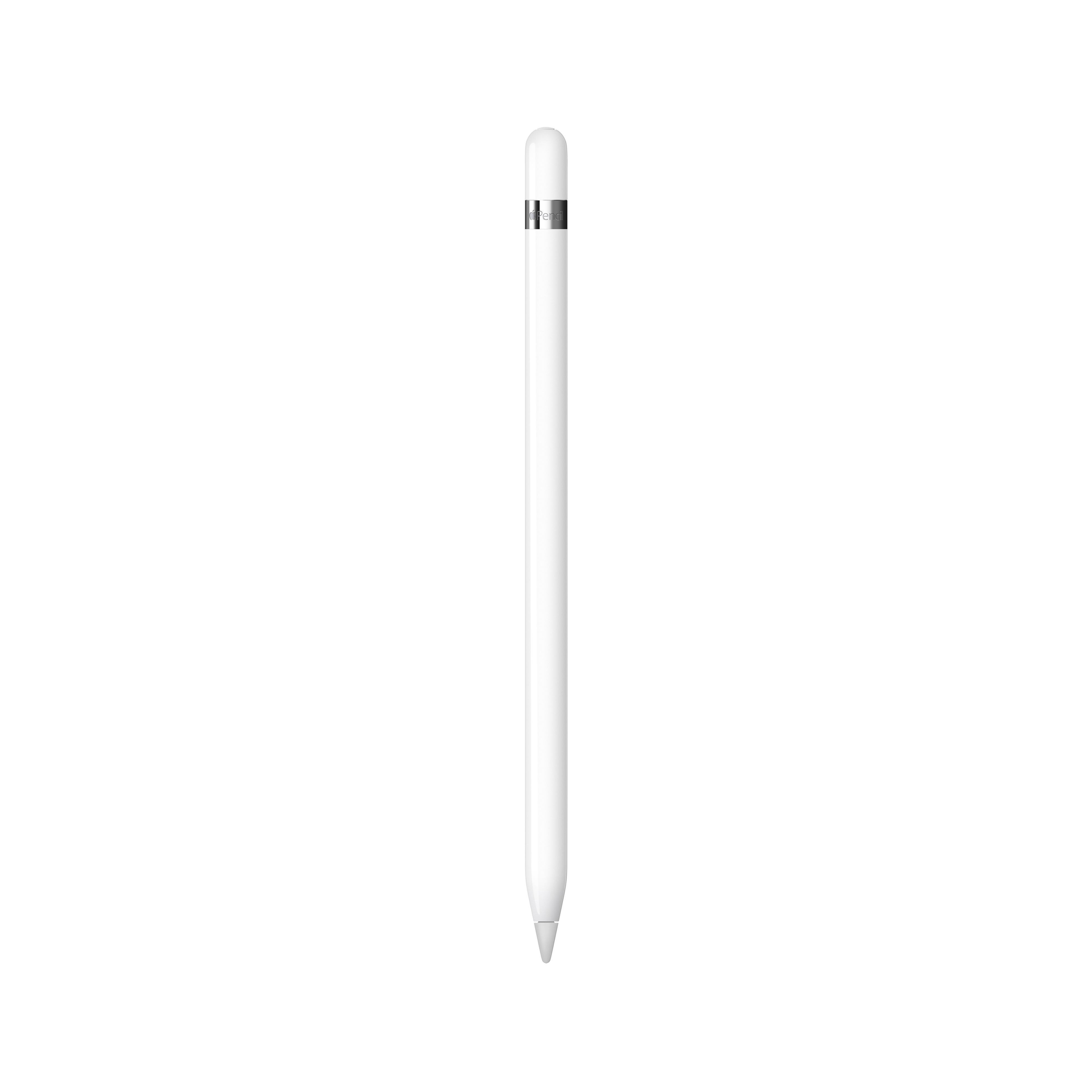 caneta para iPad