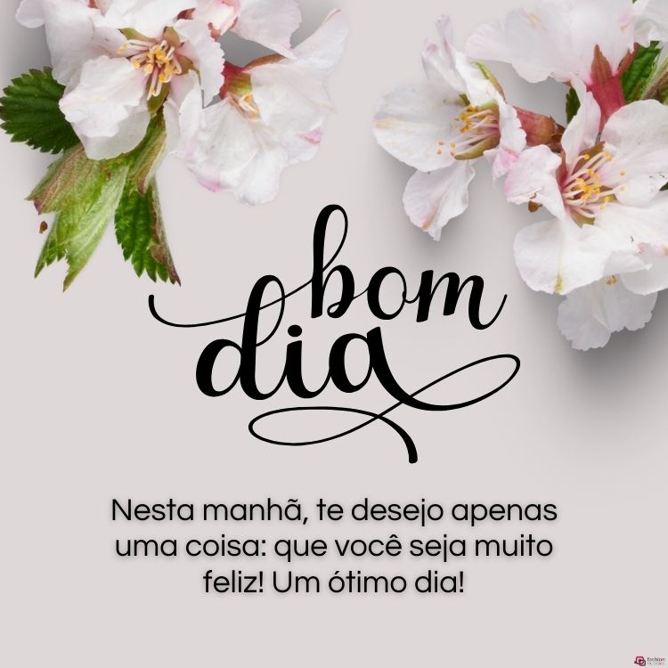 imagens de bom dia com flores